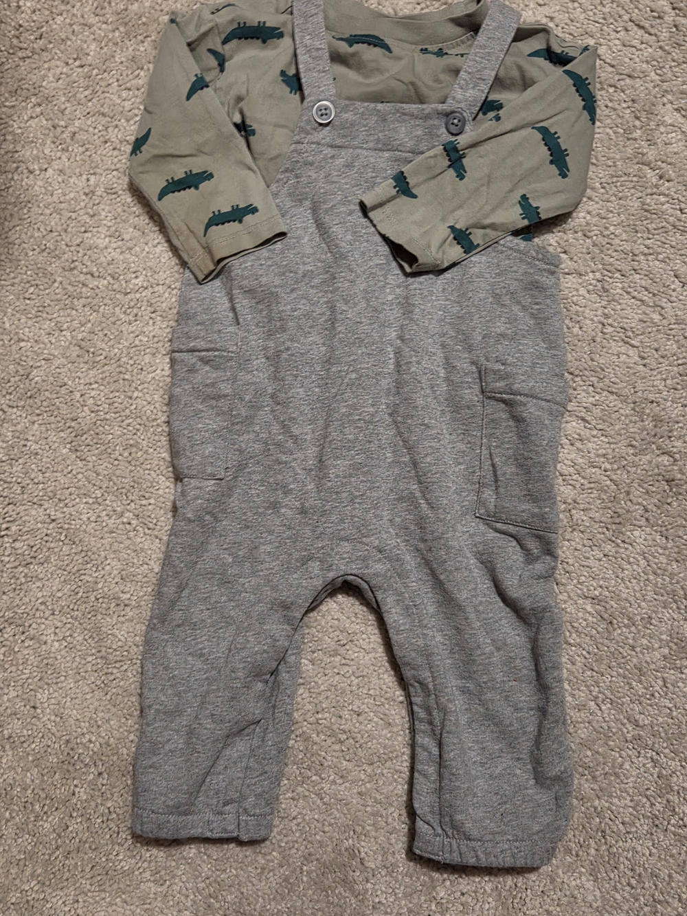 Hanna Andersson Grey Knit Overalls with Green Crocodile Print Top